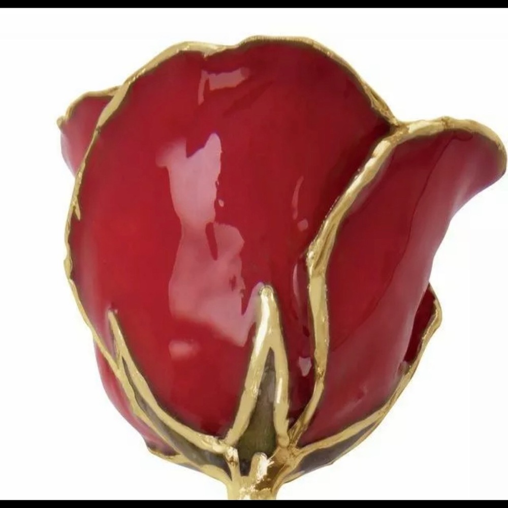 Red Gold Trimmed REAL Lacquered Rose - Picture 2 of 3